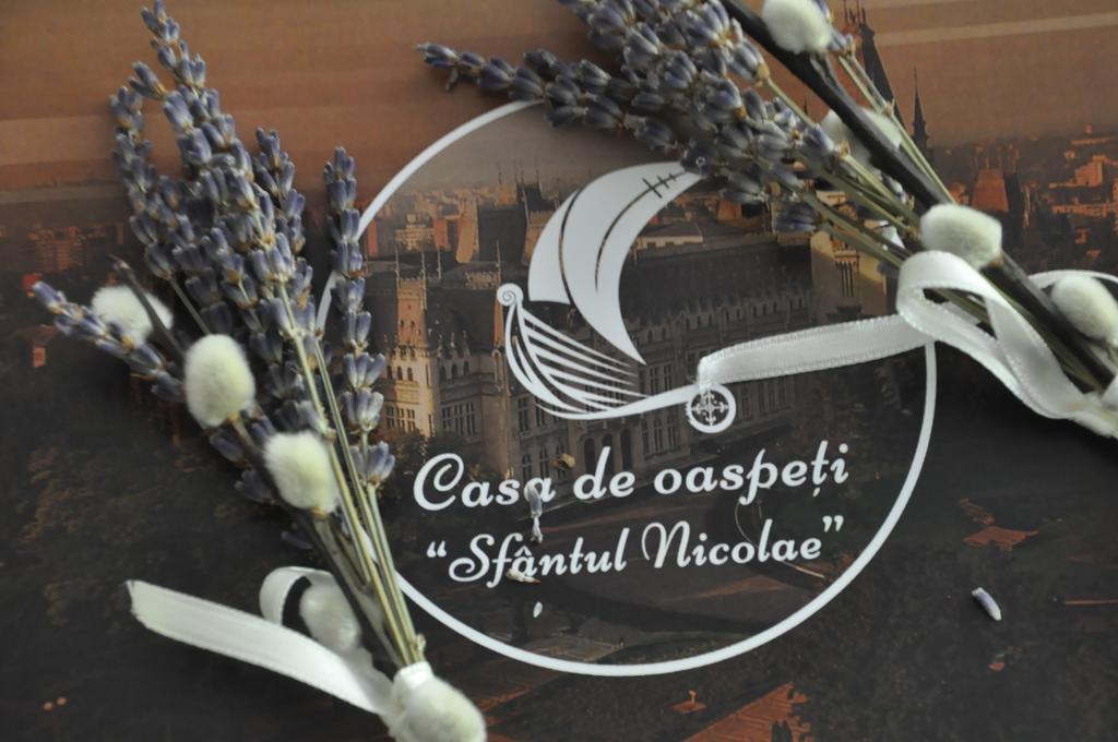 Casa De Oaspeti Sfantul Nicolae ヤシ エクステリア 写真