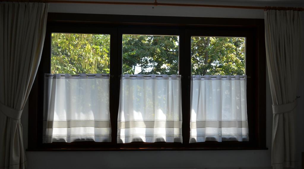 Casa De Oaspeti Sfantul Nicolae ヤシ エクステリア 写真