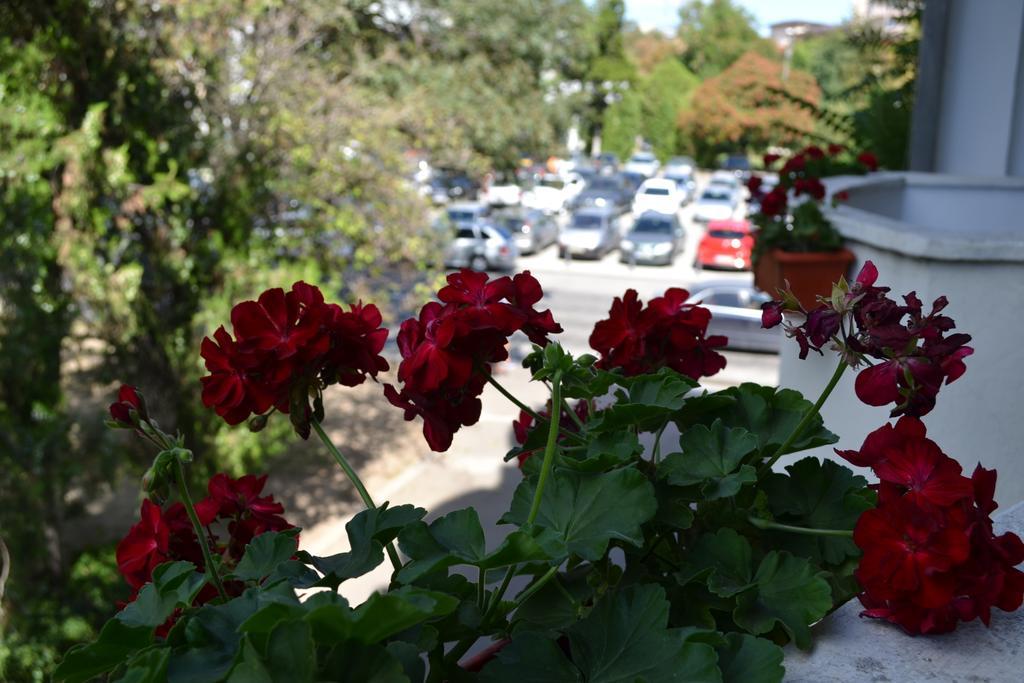 Casa De Oaspeti Sfantul Nicolae ヤシ エクステリア 写真